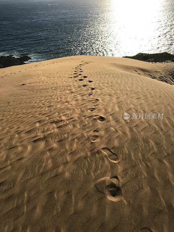 Reñaca /中午的康康沙丘景观，晴朗的蓝天，康康，Viña德尔马，瓦尔帕莱索，智利